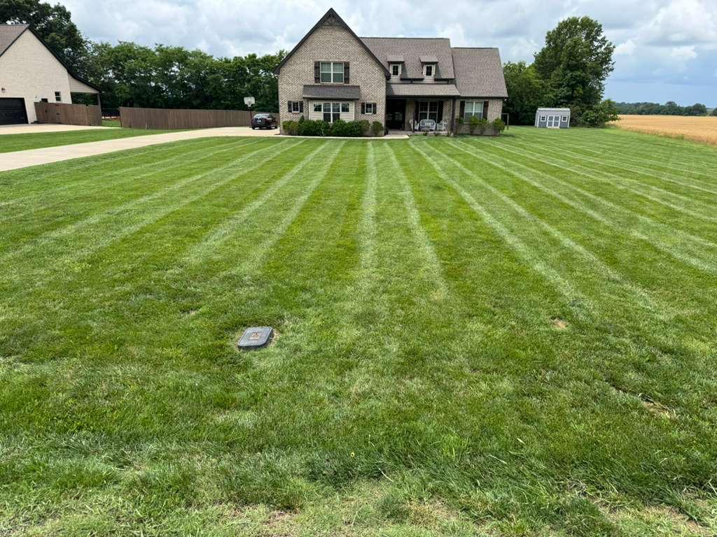 Clean lawn finish after mowing